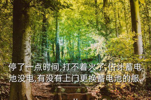 停了一点时间,打不着火了,估计蓄电池没电,有没有上门更换蓄电池的服...